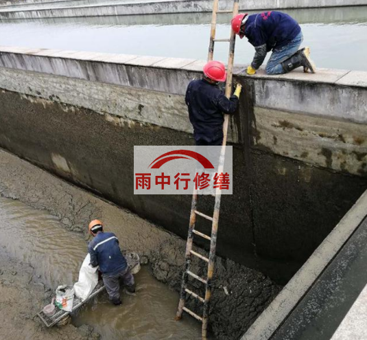 林芝污水池变形缝堵漏